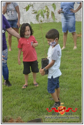 rolim de moura